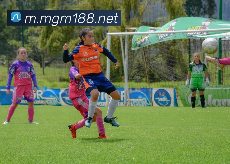 美高梅mgm服务体系