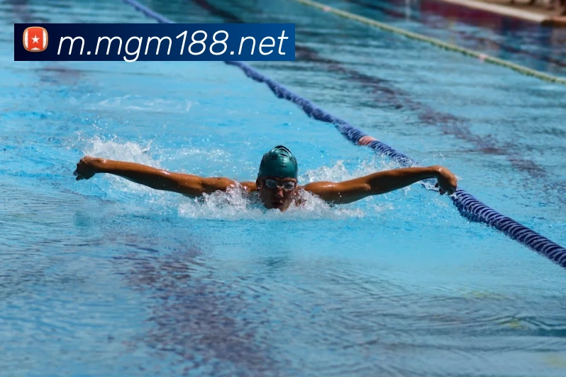 多媒体互动体验