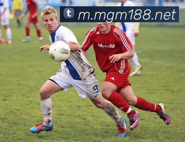 美高梅mgmAPP 体育赛事宣传图